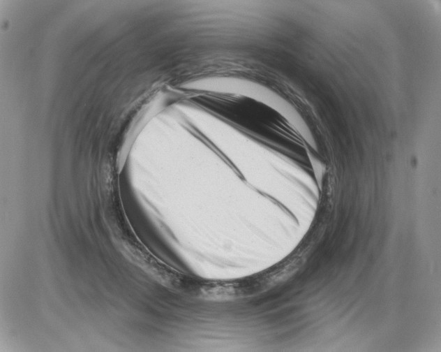 X0000086100362200704202247