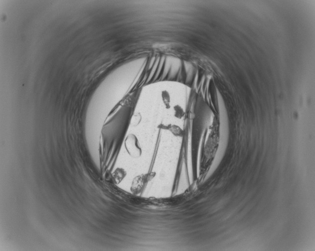 X0000086100364200704202247