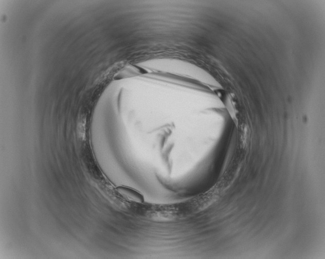 X0000086100368200704202247