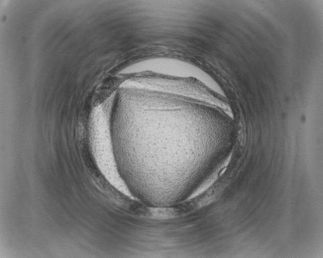 X0000086100371200704202247