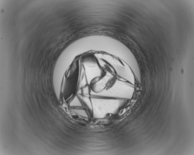 X0000086100372200704202247