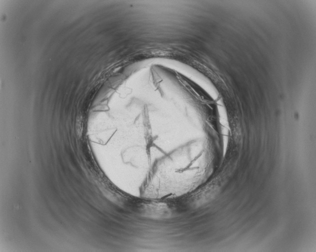 X0000086100374200704202247