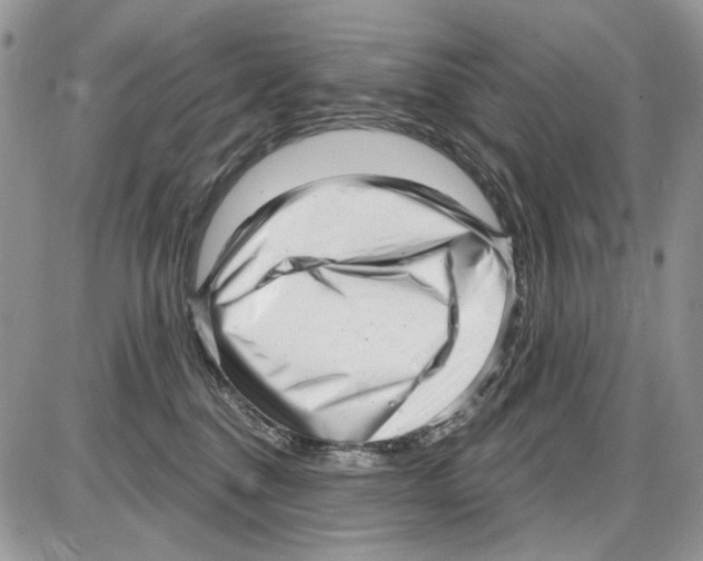 X0000086100376200704202247