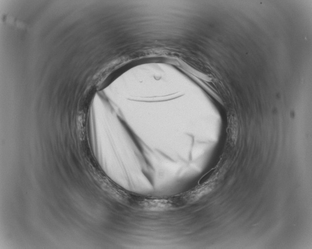 X0000086100378200704202247