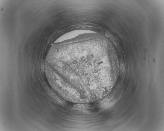 X0000086100381200704202247