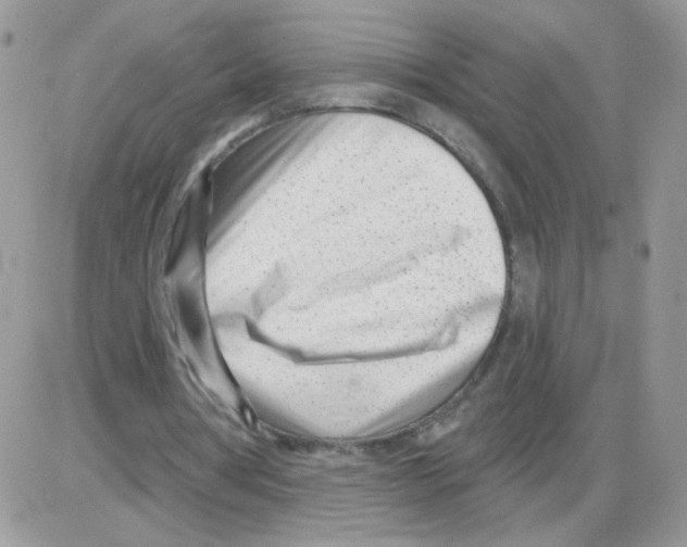 X0000086100386200704202246