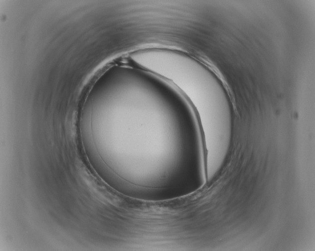 X0000086100387200704202246