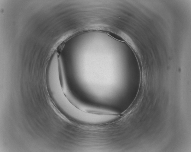 X0000086100389200704202246