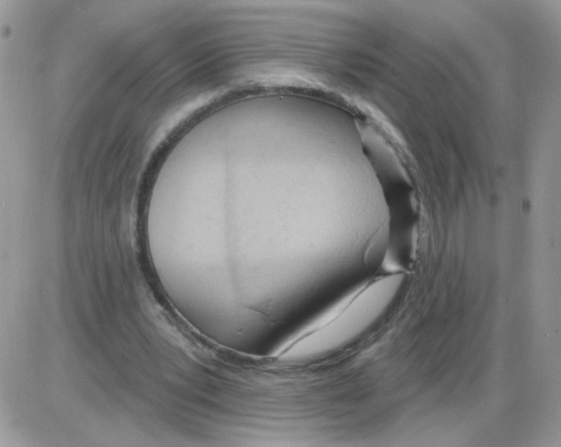 X0000086100391200704202246