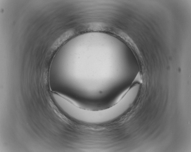 X0000086100393200704202246