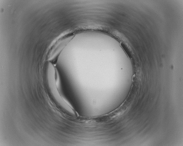 X0000086100395200704202246