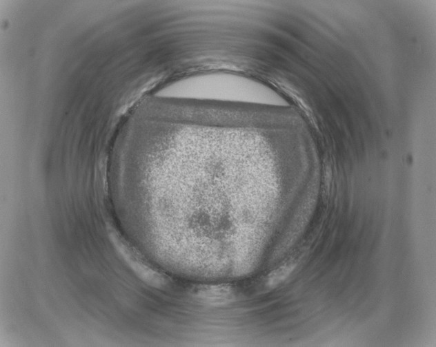 X0000086100398200704202246