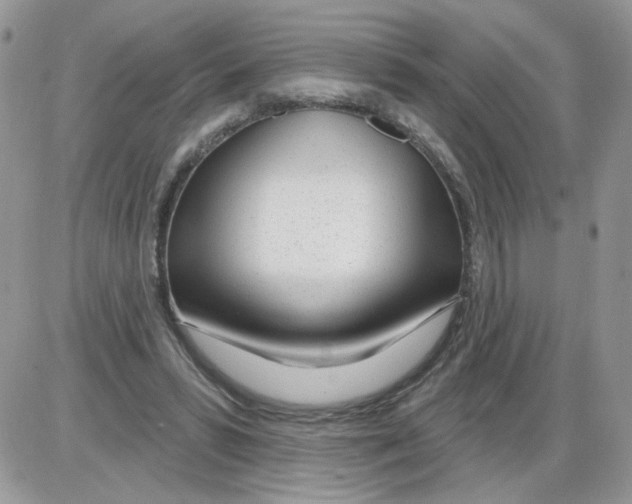 X0000086100399200704202246