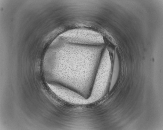 X0000086100402200704202246