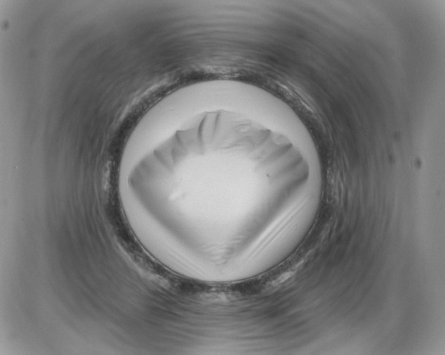 X0000086100404200704202246
