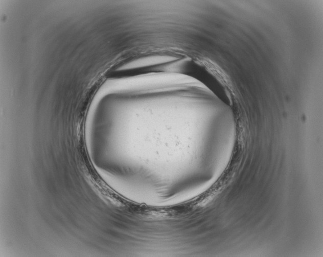 X0000086100405200704202246