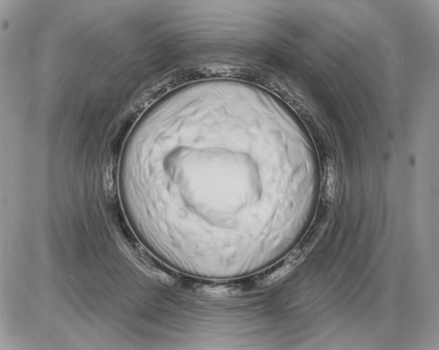 X0000086100408200704202246