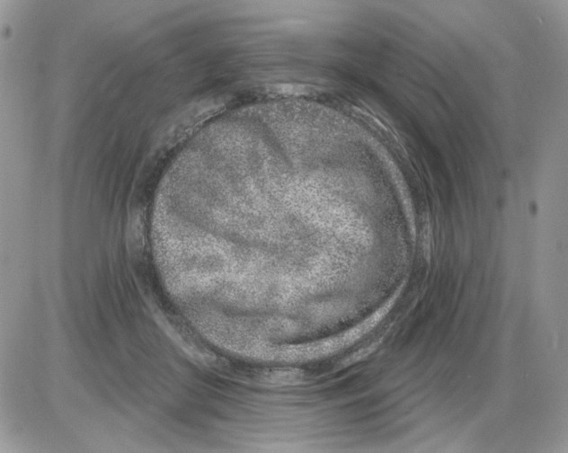 X0000086100410200704202246