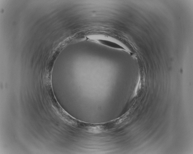 X0000086100411200704202246