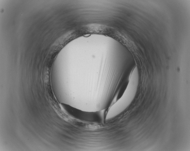 X0000086100413200704202246