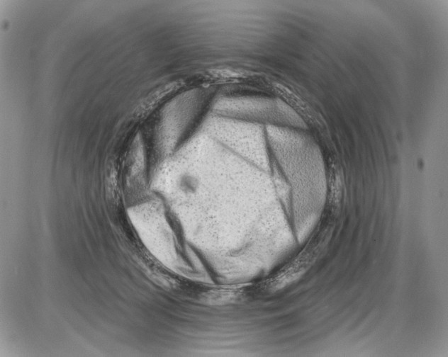 X0000086100418200704202246
