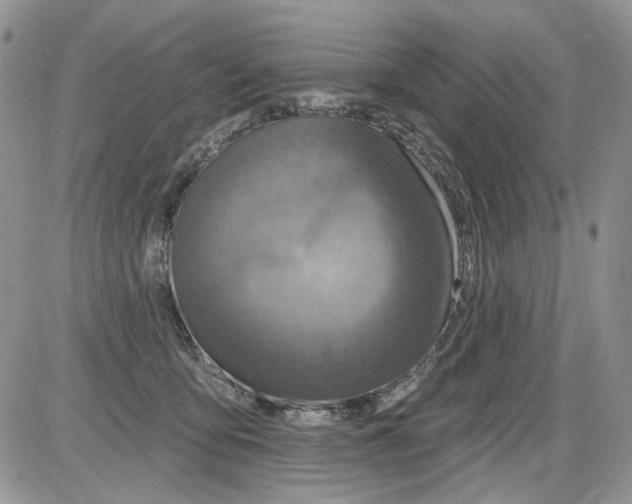 X0000086100419200704202246