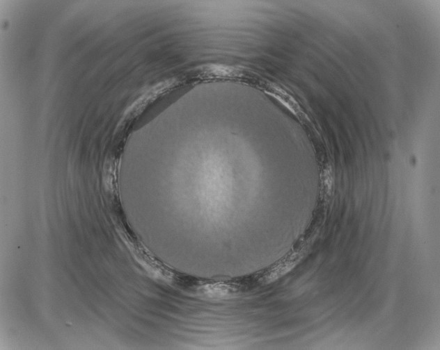 X0000086100423200704202246