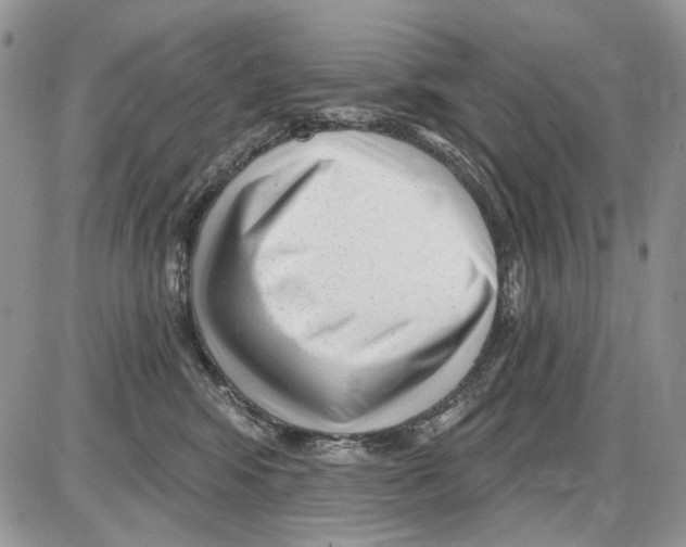 X0000086100424200704202246