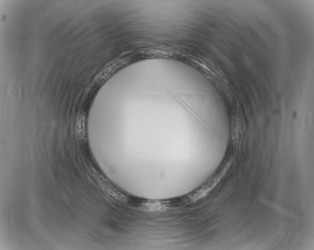 X0000086100425200704202246