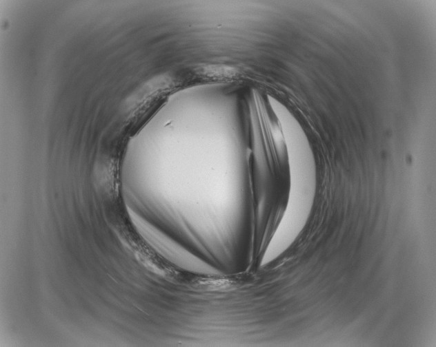 X0000086100428200704202246