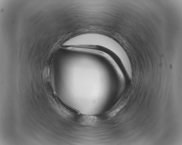 X0000086100429200704202245
