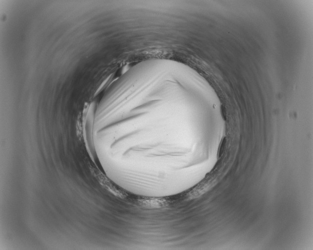 X0000086100432200704202245