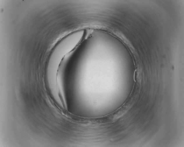 X0000086100434200704202245