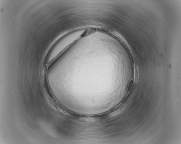 X0000086100435200704202245
