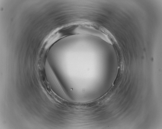 X0000086100436200704202245