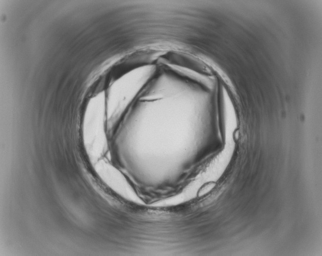 X0000086100437200704202245