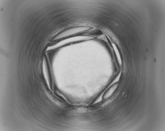 X0000086100441200704202245
