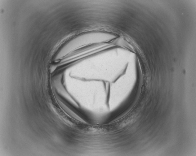 X0000086100442200704202245