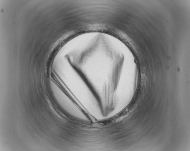X0000086100443200704202245