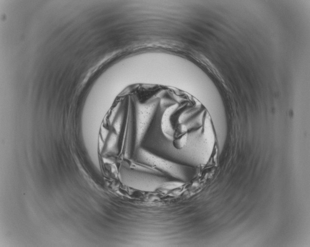 X0000086100444200704202245