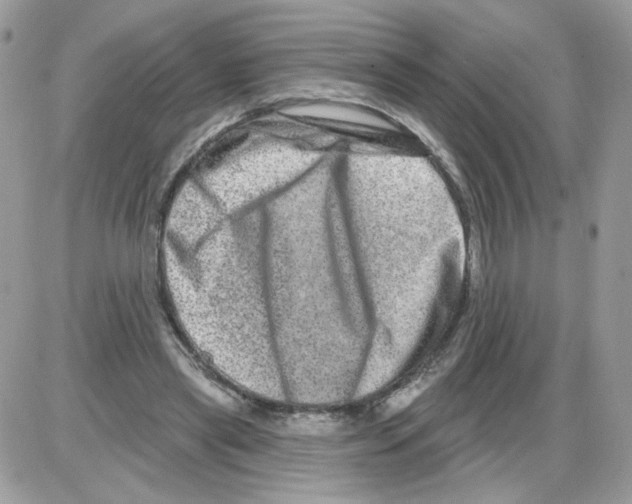 X0000086100445200704202245
