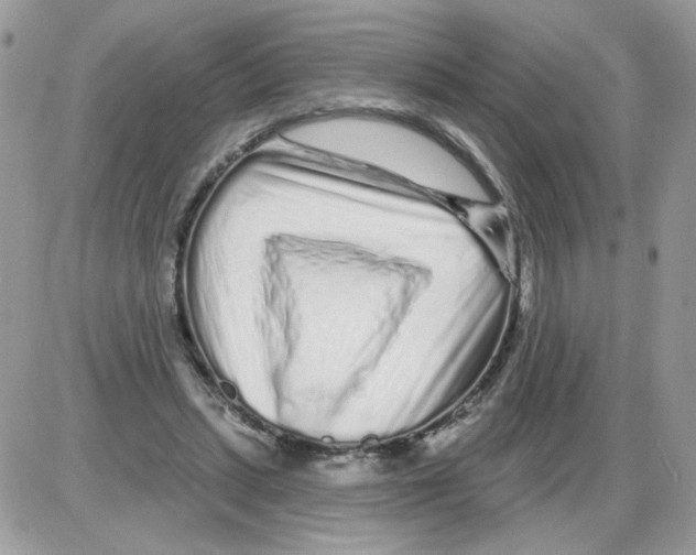X0000086100447200704202245