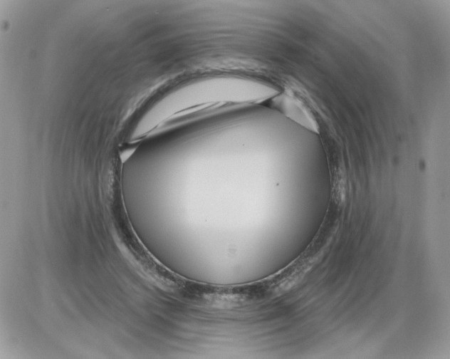 X0000086100448200704202245