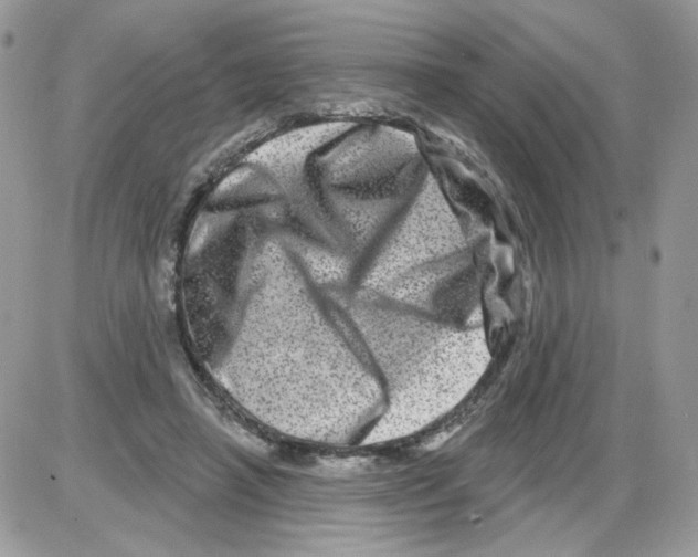 X0000086100450200704202245