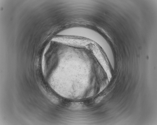 X0000086100451200704202245