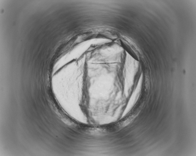 X0000086100453200704202245