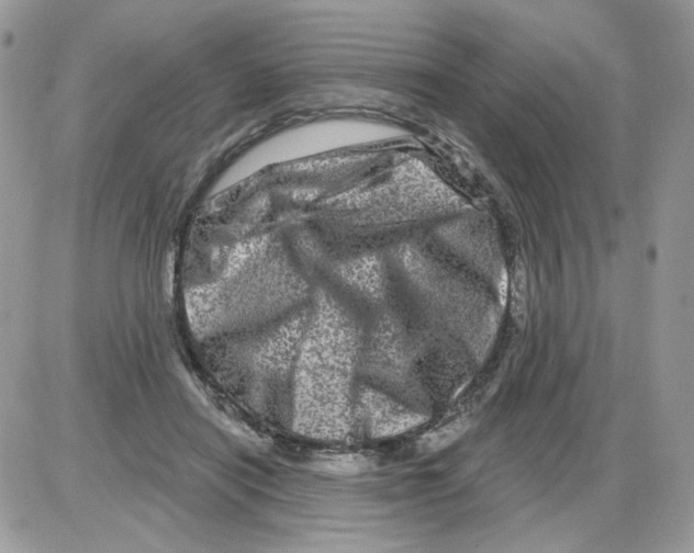 X0000086100454200704202245