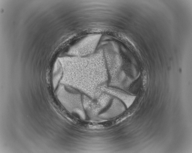 X0000086100455200704202245