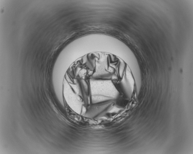 X0000086100456200704202245