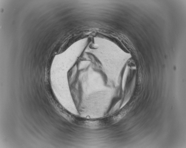 X0000086100457200704202245